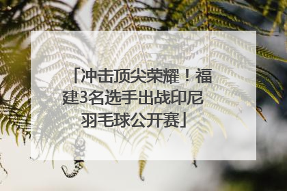 冲击顶尖荣耀！福建3名选手出战印尼羽毛球公开赛